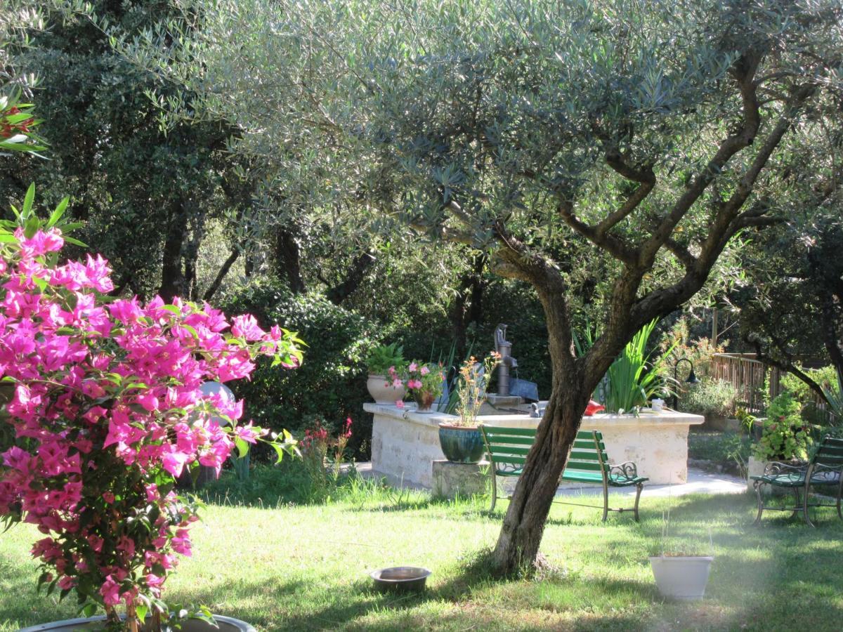 Domaine Du Bois Gite Bleuette Galargues Exterior photo