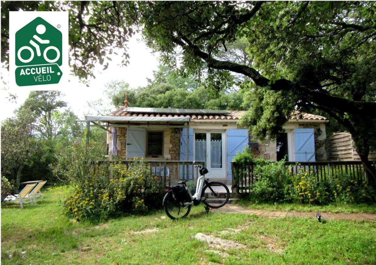 Domaine Du Bois Gite Bleuette Galargues Exterior photo